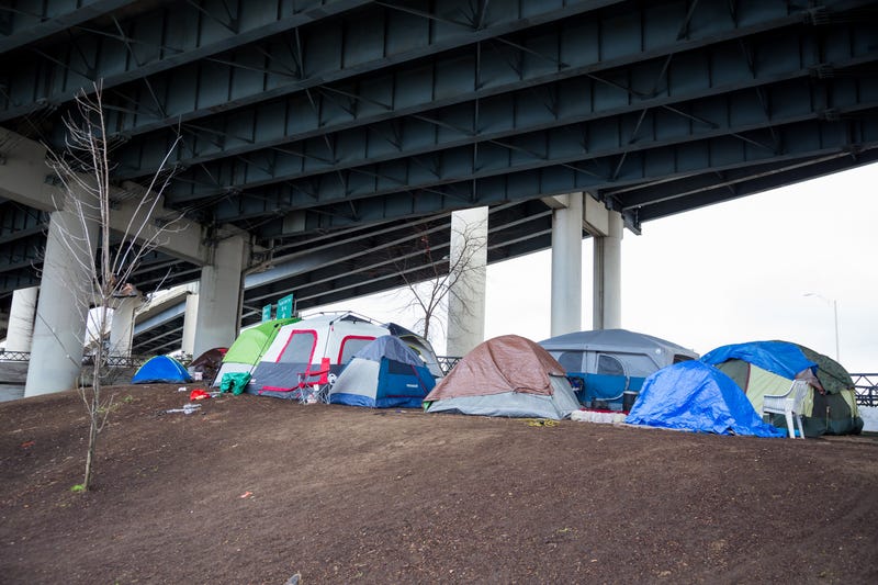 Some Minneapolis City Council members are proposing emergency funding to save a downtown homeless shelter and food and shelf.
