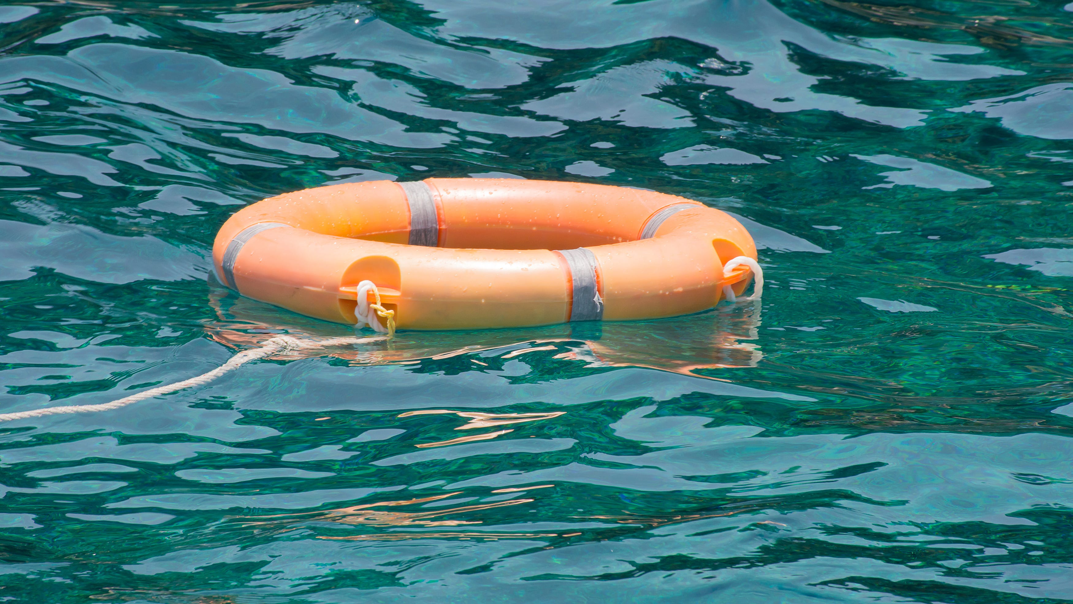 Disturbing trend emerges as temperatures rise