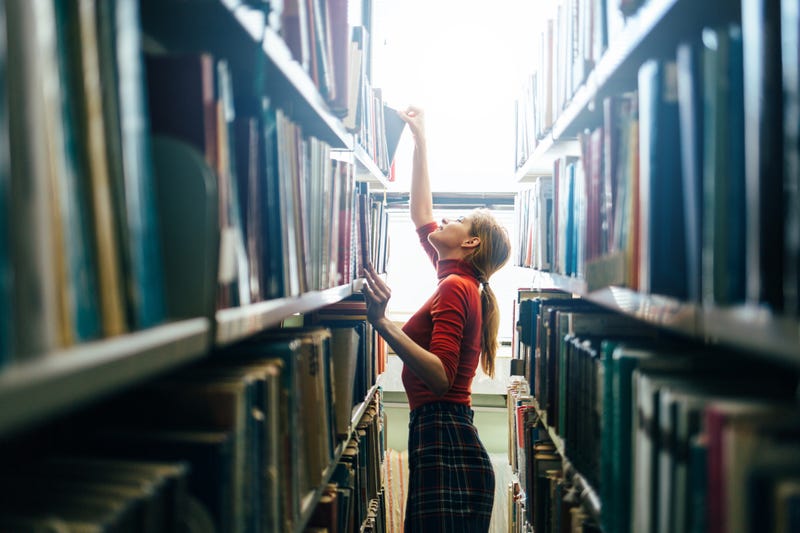 Librarian