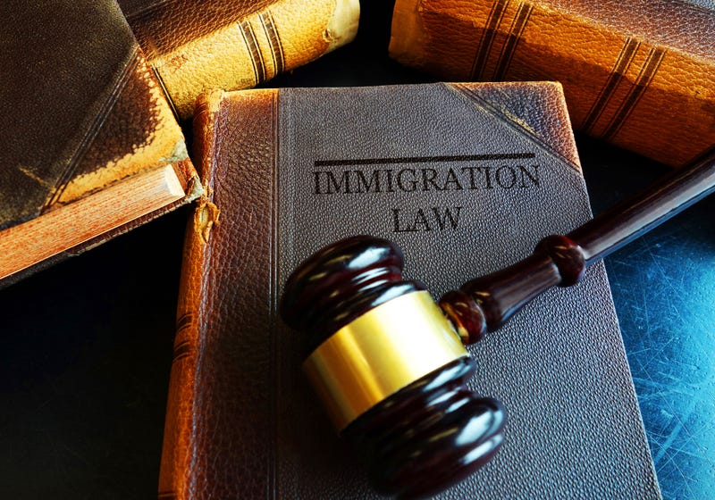 Immigration law