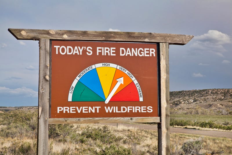 Wildfire