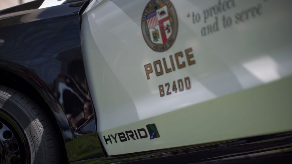 Police capture armed man who fled from them