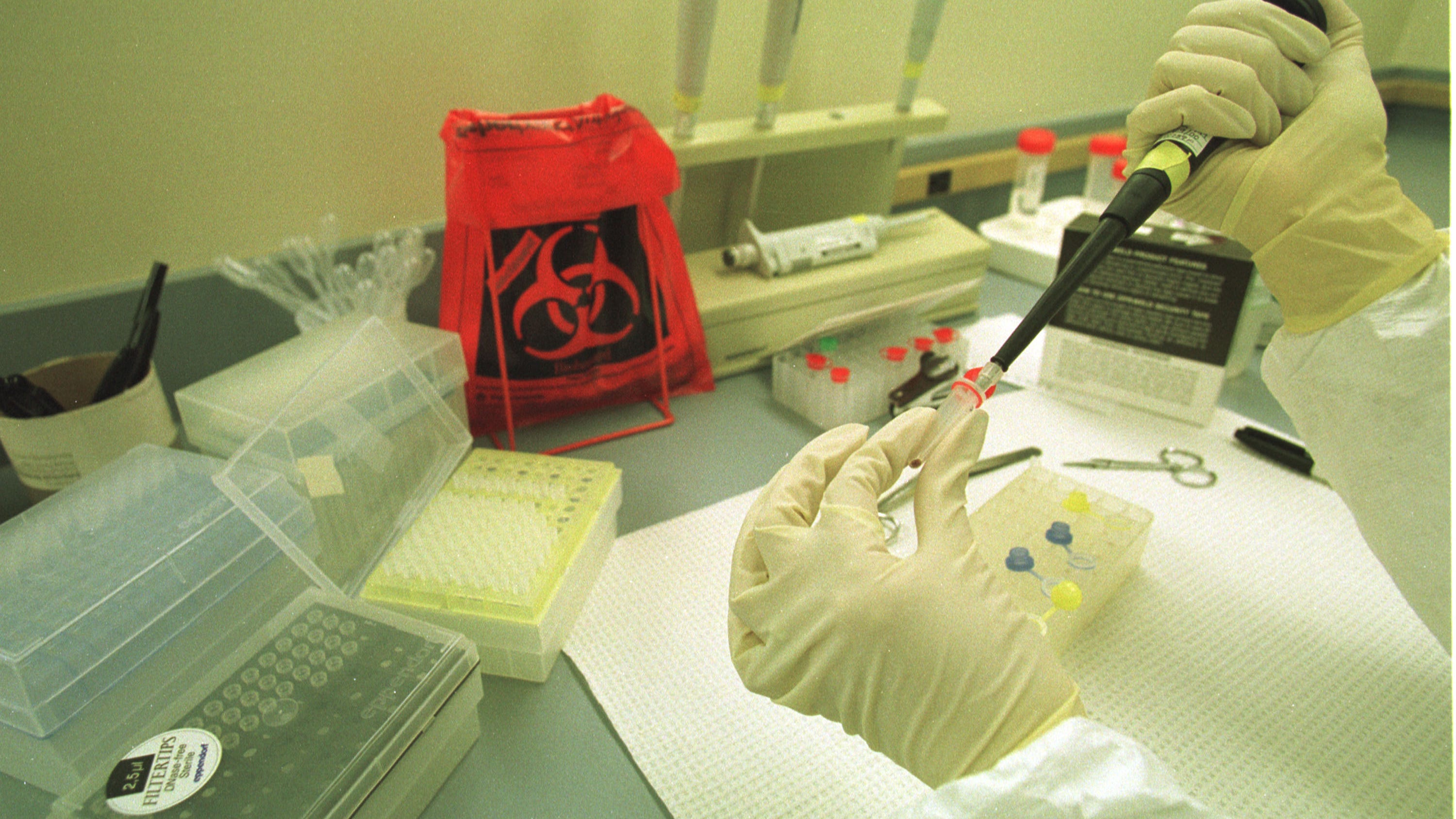 NY court rules police can't use familial DNA searches