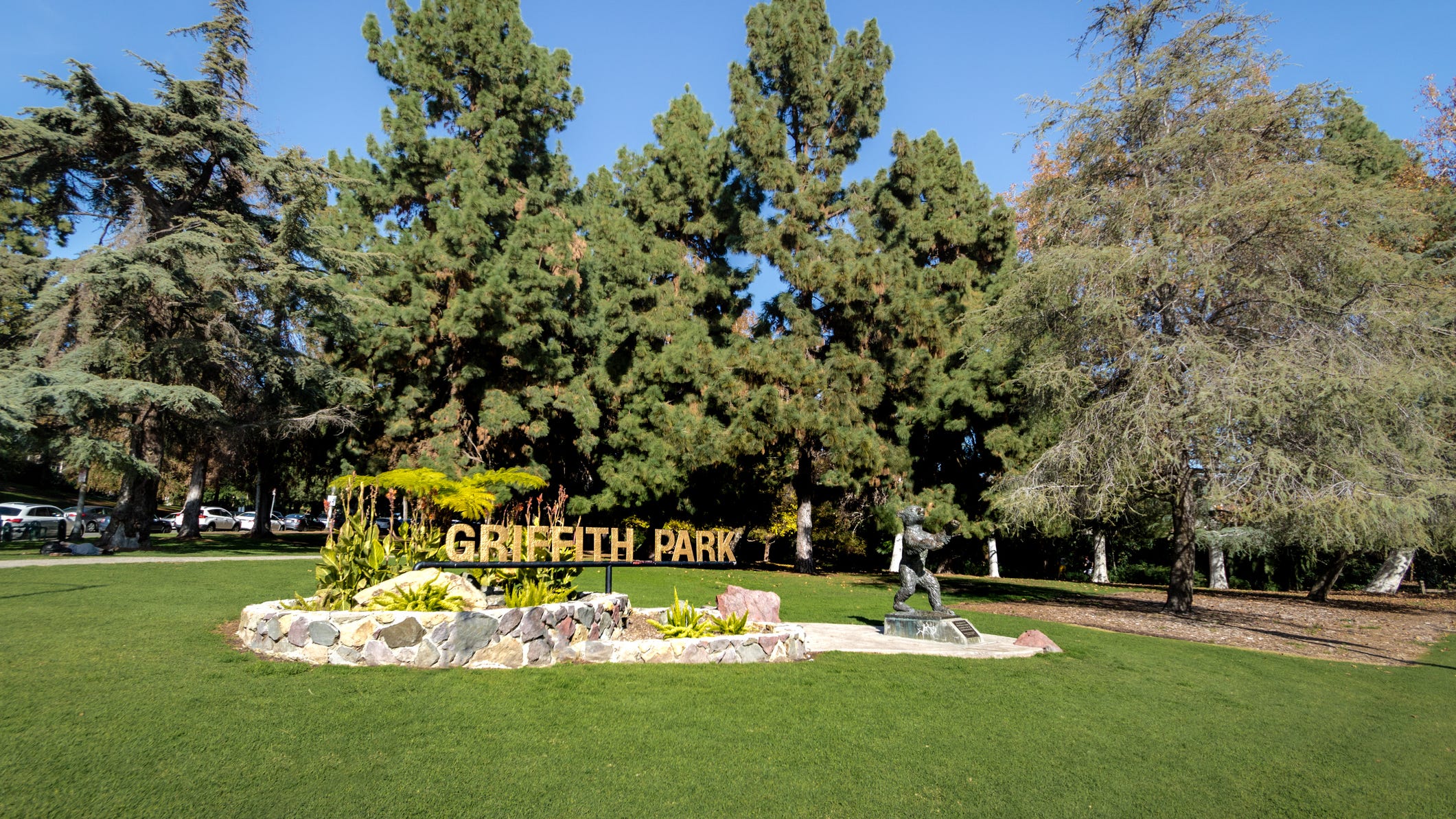 Burning body found hanging from tree in Griffith Park