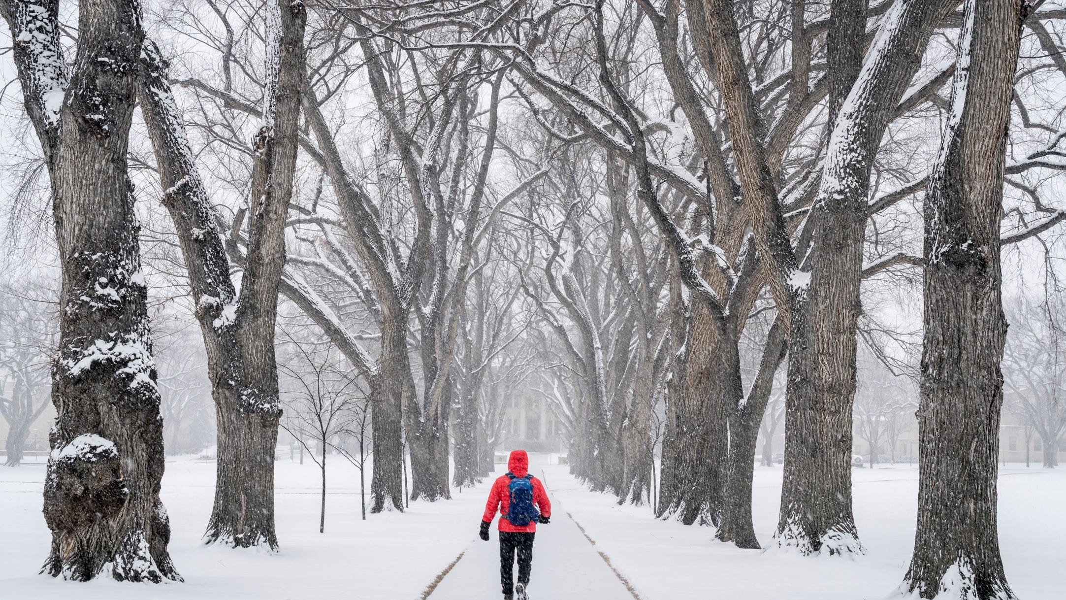 Wayne State, Oakland and Eastern universities cancel in-person classes Tuesday