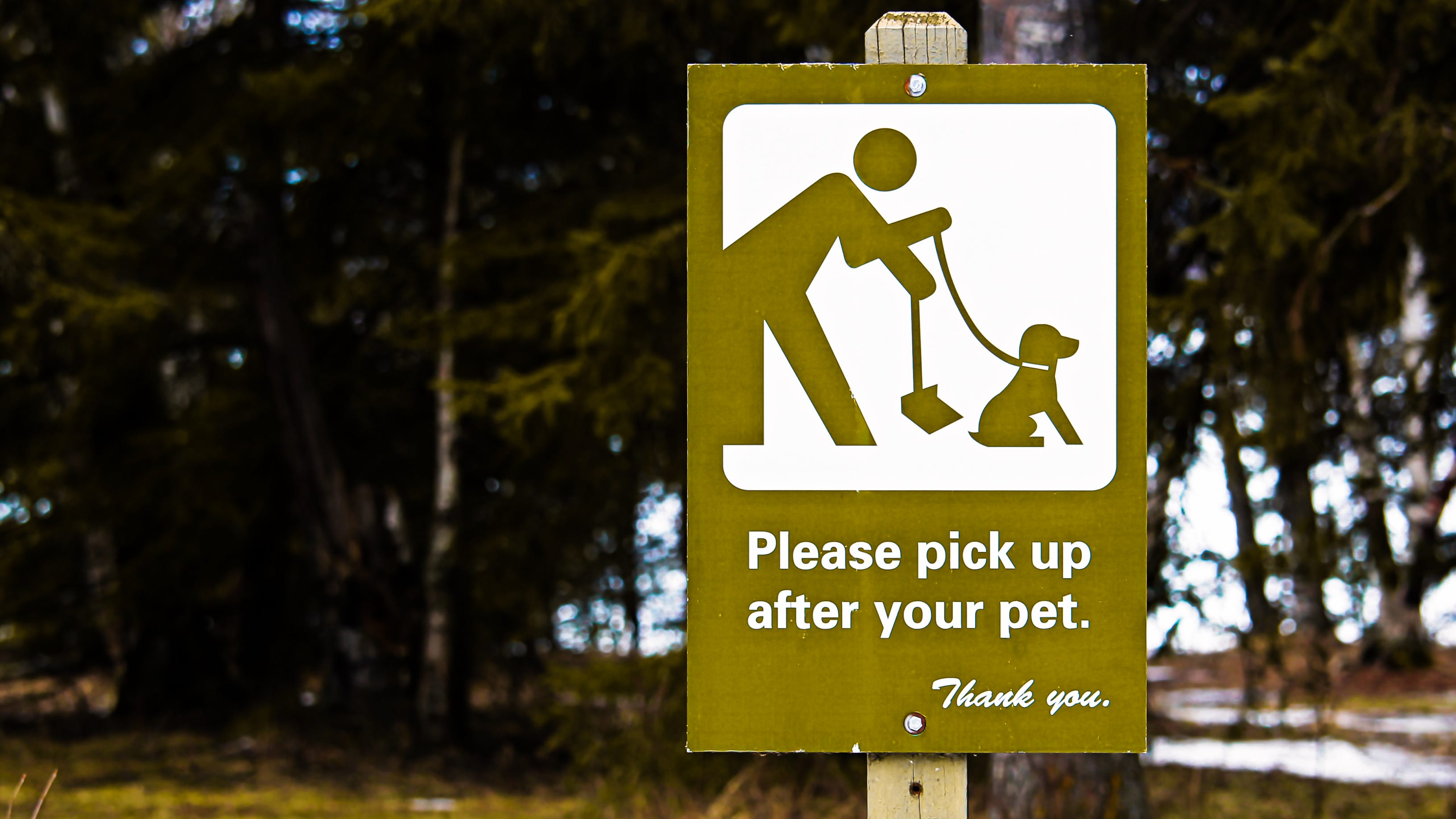 Angry over dog poop, Michigan man destroys bedroom with chainsaw