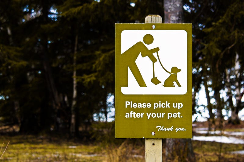 Pick up after your dog sign
