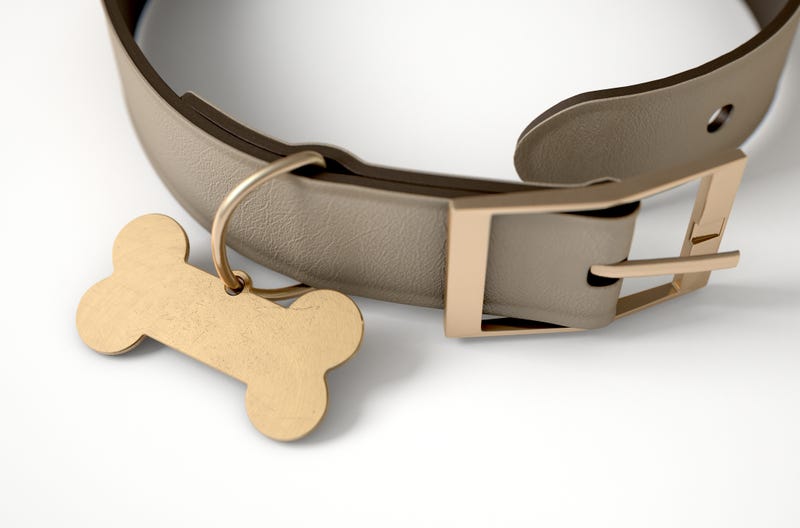 dog collar
