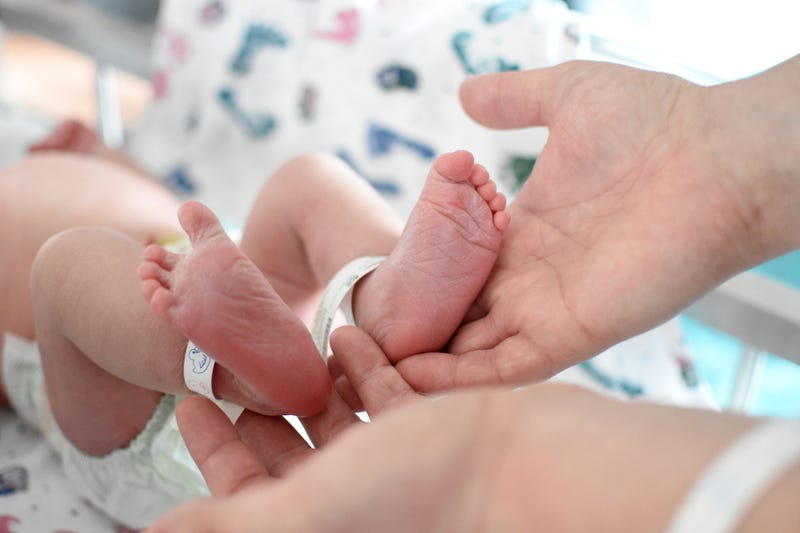 Newborn