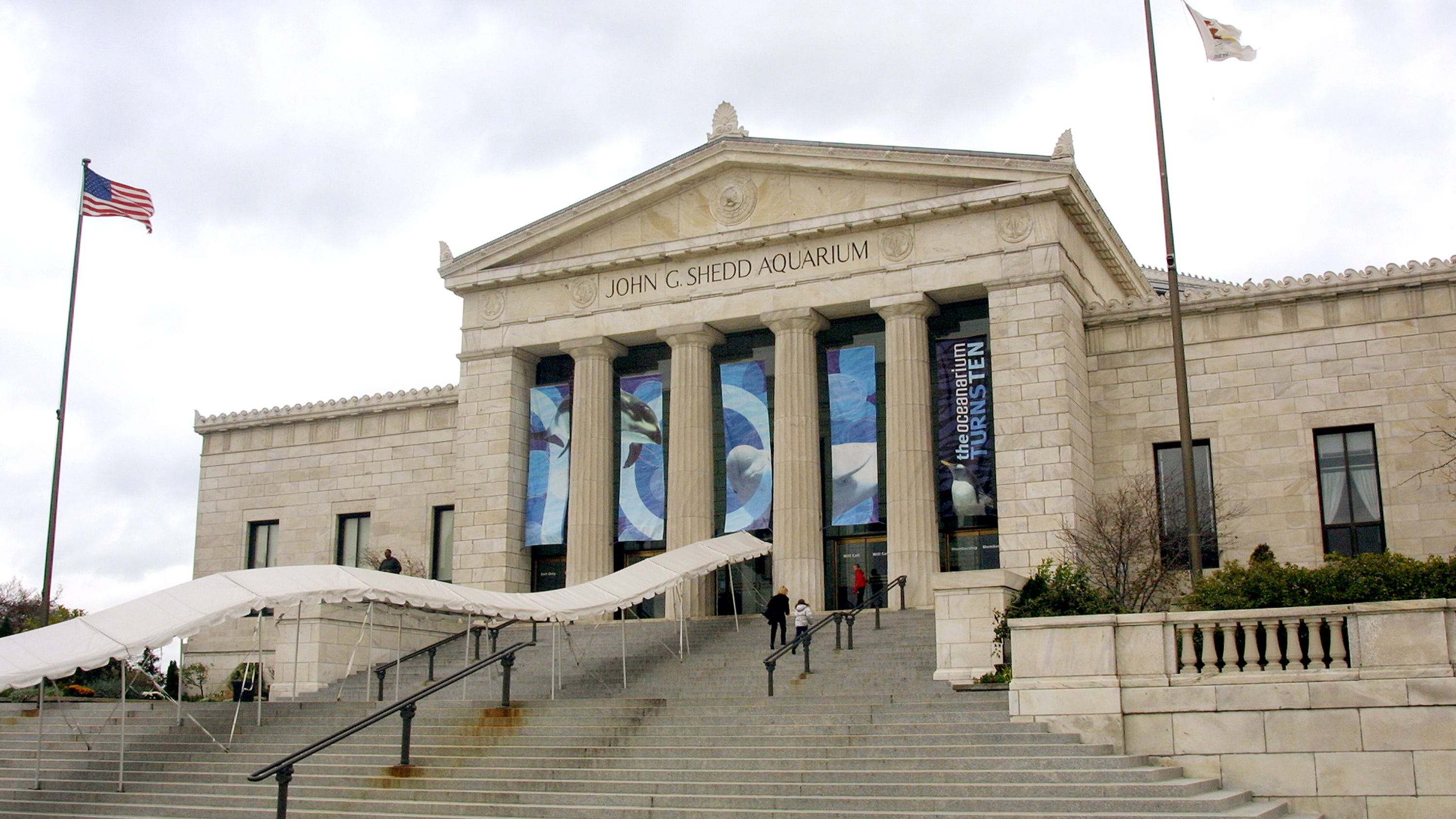 This summer's NASCAR race will negatively impact Shedd Aquarium's business, chief marketing officer says