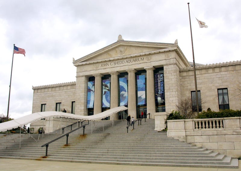 Shedd Aquarium