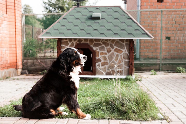 Expensive dog house