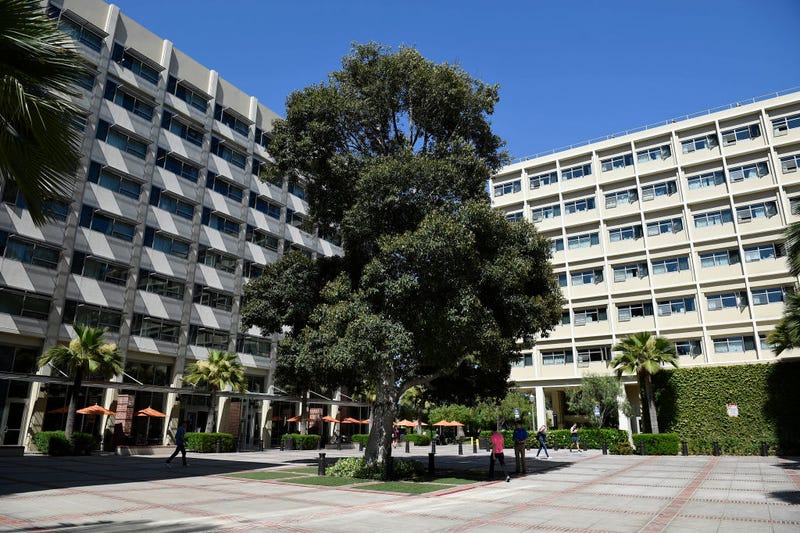 UCLA