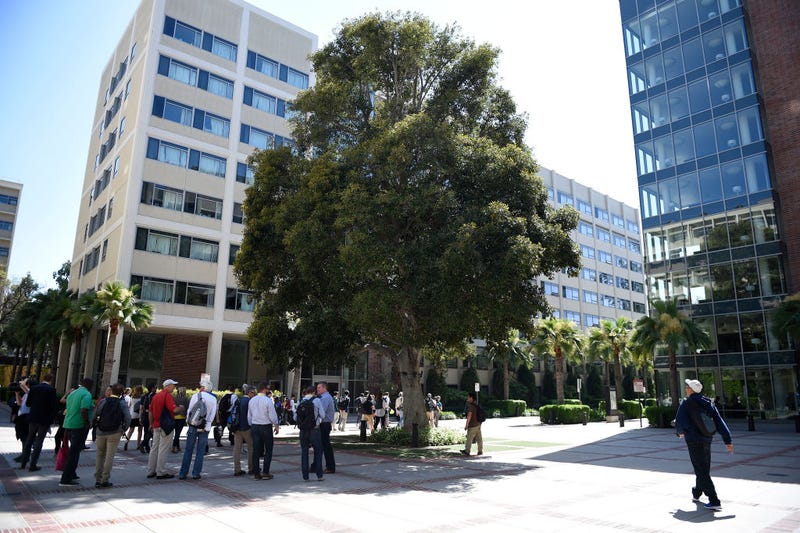 UCLA 