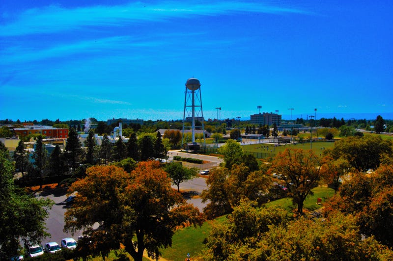 UC Davis