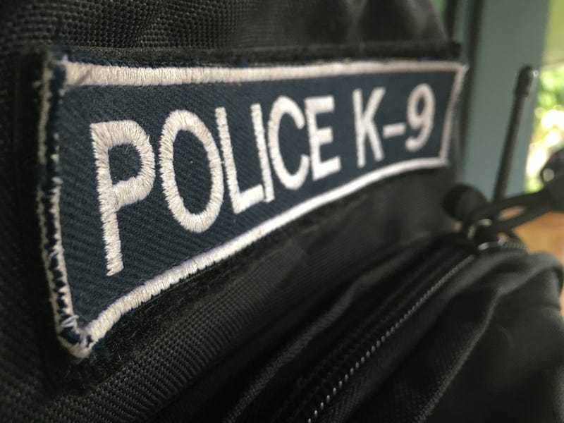 K-9s