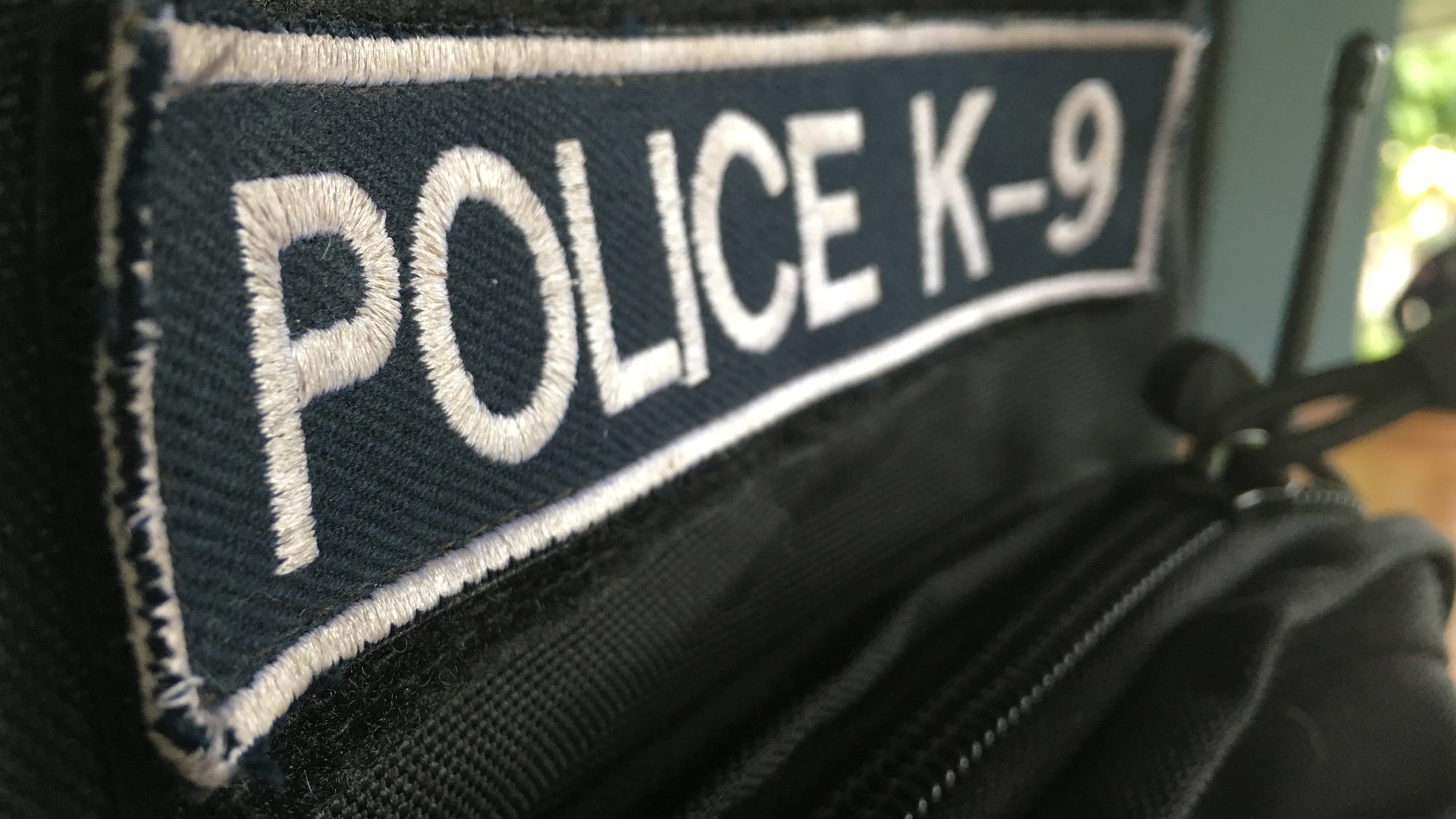 Houston police K-9 dies of heat exhaustion after squad car unexpectedly shuts off