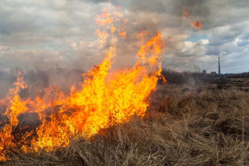 Grass fire