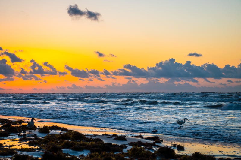 Padre Island, Texas