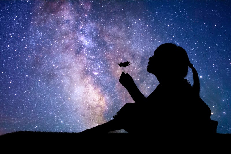 Silhouette of a young girl looking at a flower against a backdrop of stars.