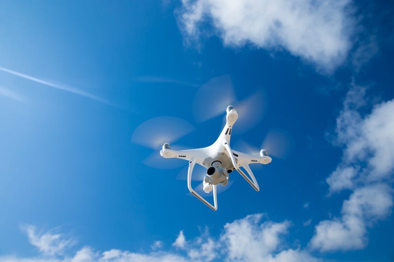 Volunteers with a Bay Area animal rescue organization are helping to find lost and abandoned pets and people in war-ravaged Ukraine by using hi-tech drones.
