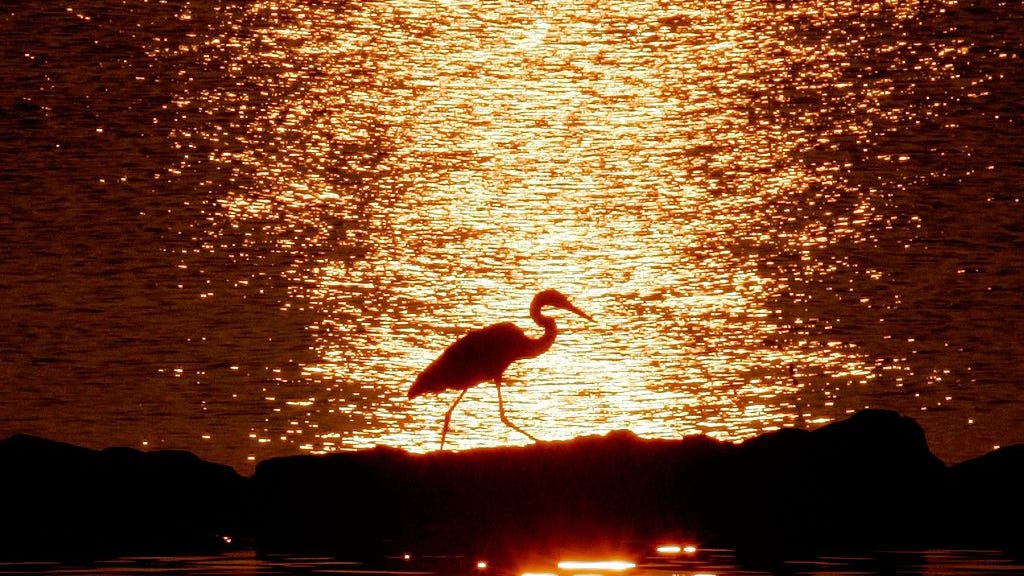 Extreme heat wave to hit Bay Area over Labor Day Weekend