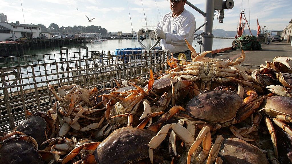 Commercial crab fishermen warn delays could mean end of the industry