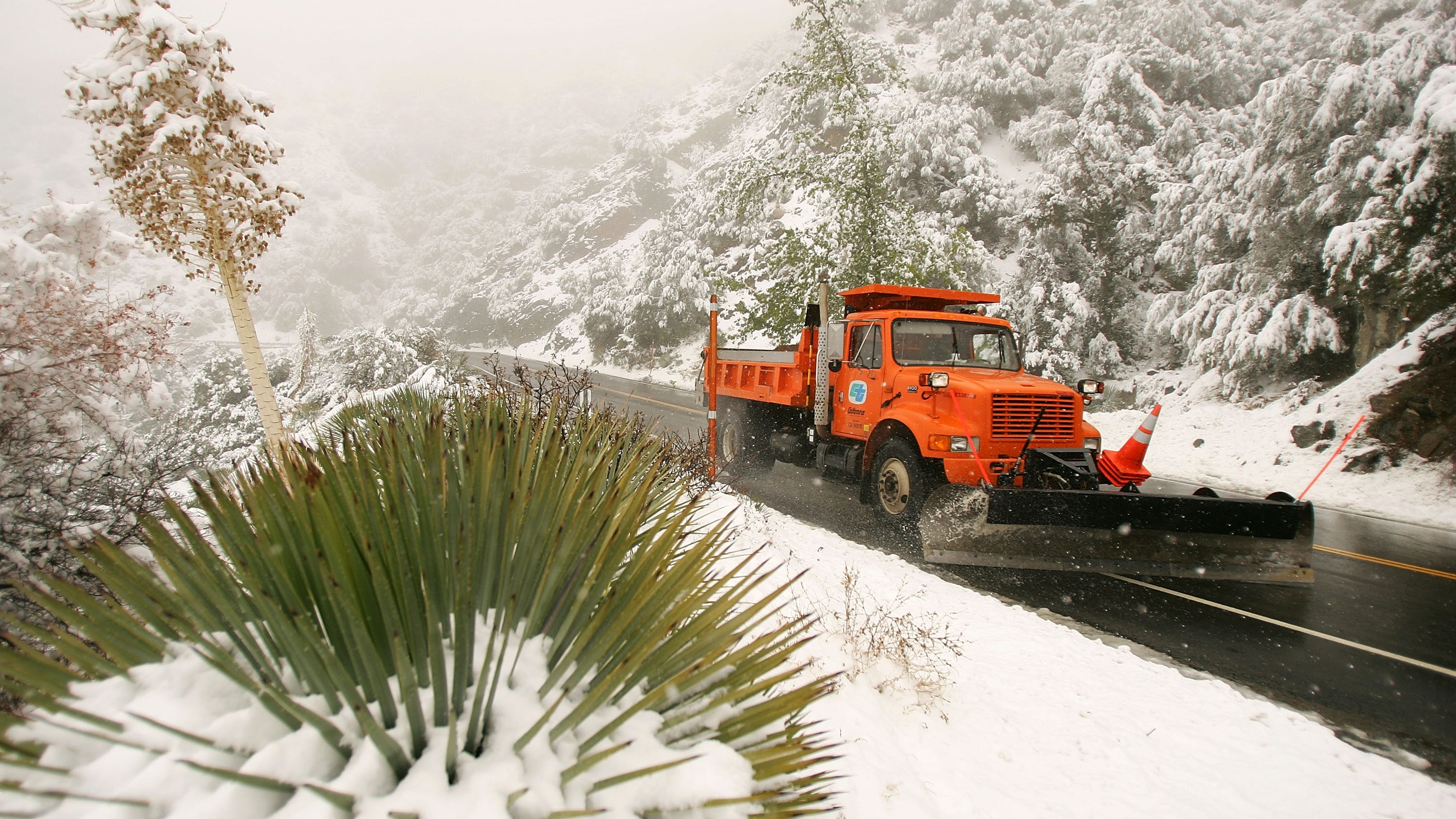 Woman survives 6 days in snowy California forest