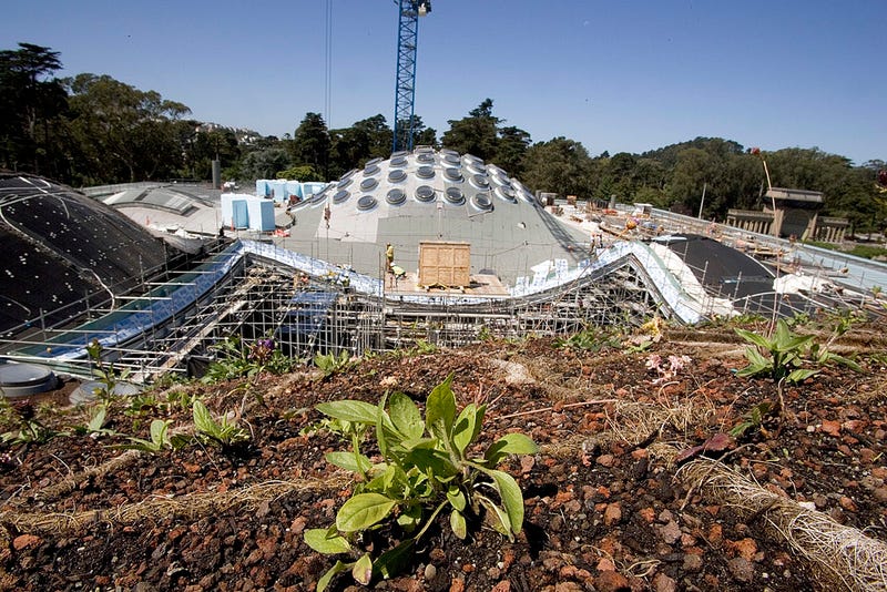 California Academy of Sciences opens exhibit celebrating LGBTQ+ people of color in STEMM.