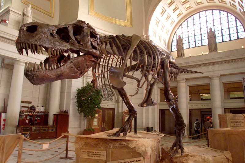 Dinosaur