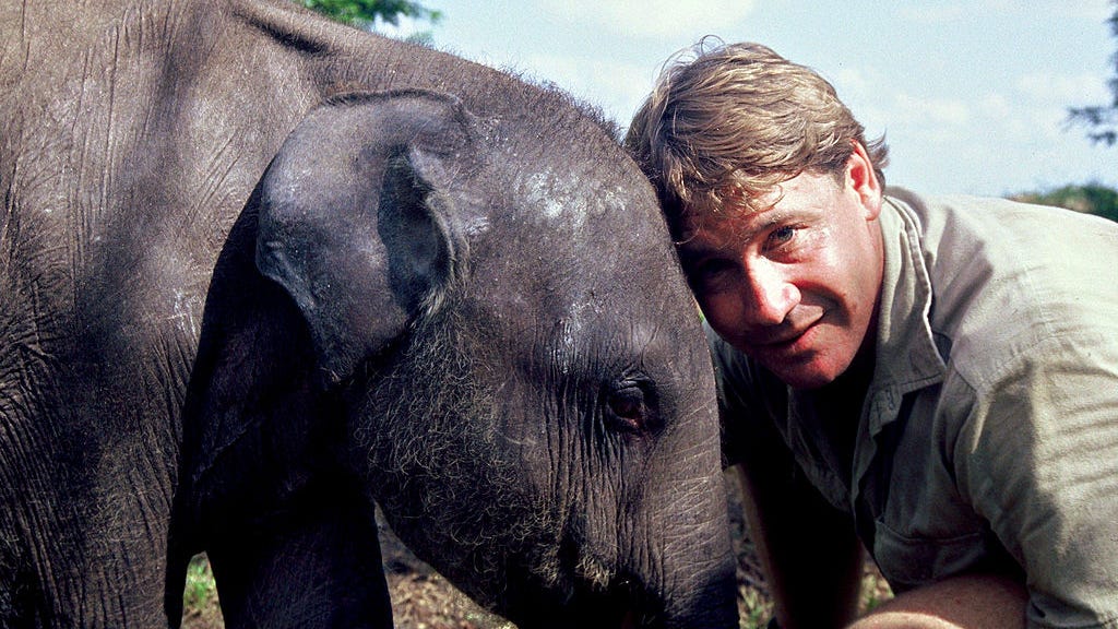Bindi and Robert Irwin celebrate Steve Irwin Day with heartwarming tributes: 'Your legacy will live on forever'