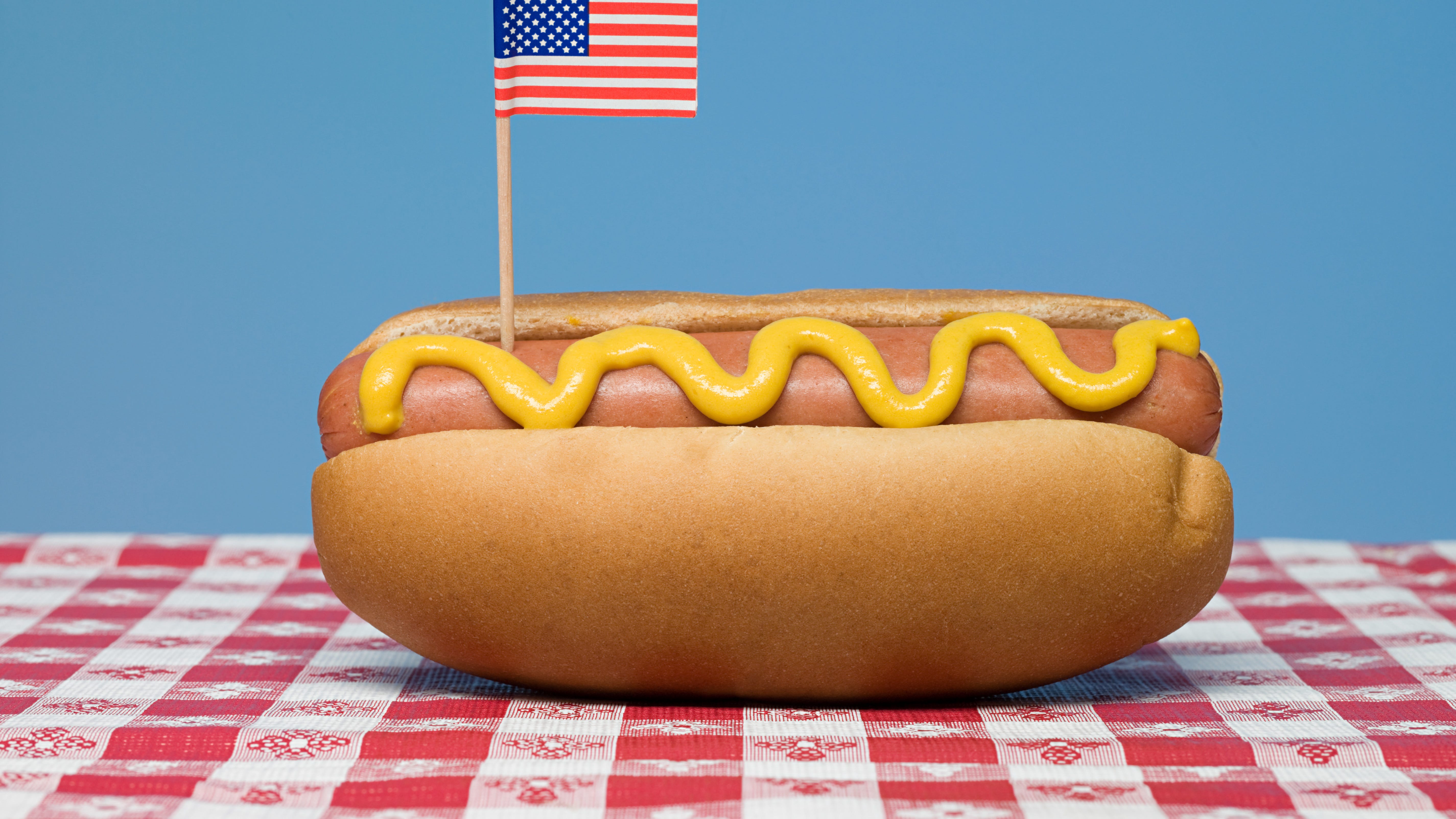 Is a hot dog a sandwich? Michigan says no