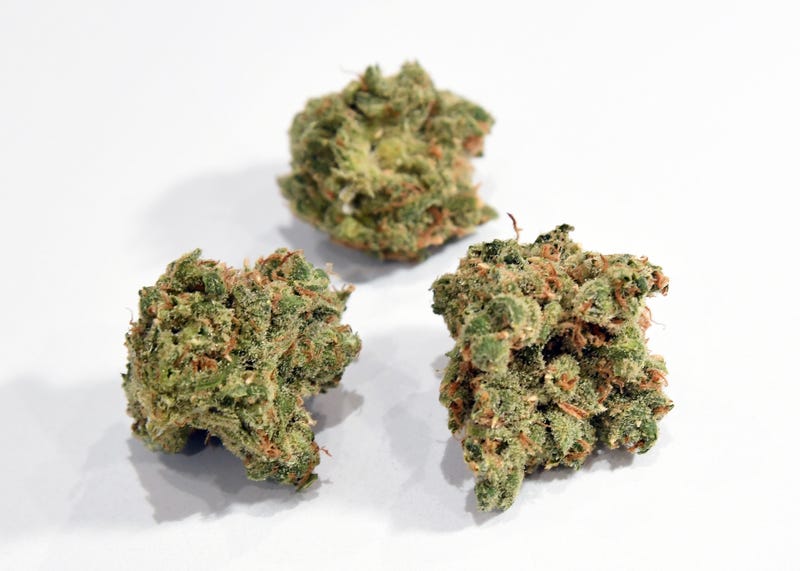 Help wanted for pot agency job