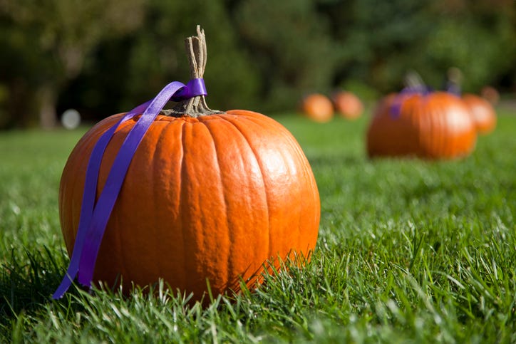 Halloween pumpkins decorated with a purple ribbon sitting on the grass