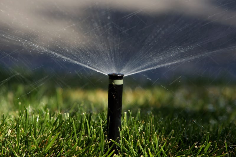 A sprinkler waters a lawn May 13, 2008 in Emeryville, California.