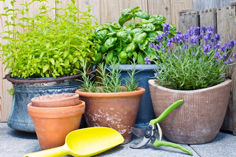 Gardening