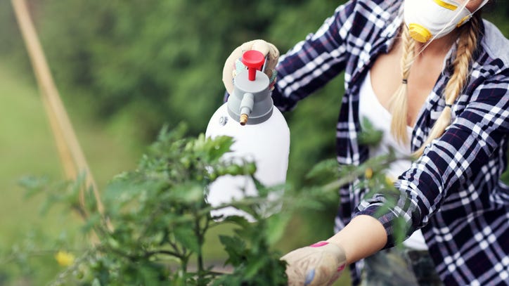 Coronavirus: How to Keep Your Home Green While Social Distancing