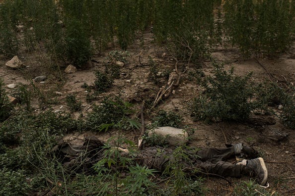 The body of an ISIS-K fighter killed by an airstrike lays on the ground a few hundred meters from where the GBU-43/B Massive Ordnance Air Blast, nicknamed the 'Mother of All Bombs’, was dropped in the Momand Valley on July 16, 2017 in Achin District, Afghanistan. (Photo by Andrew Renneisen/Getty Images)
