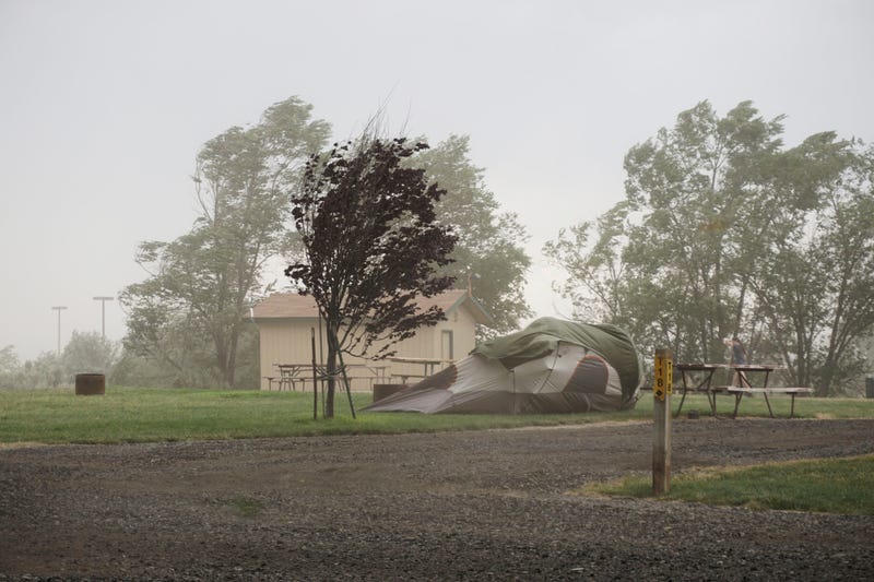 Dangerous winds are blowing through the Bay Area, closing roads and uprooting trees.