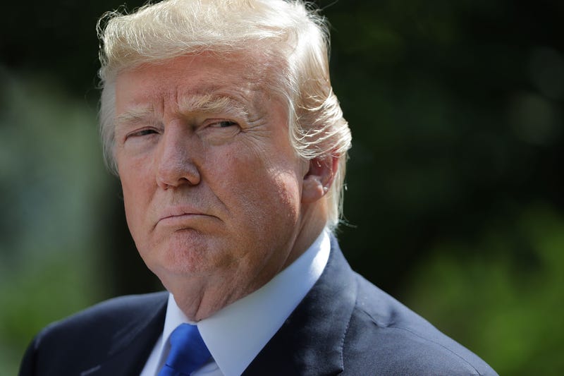 U.S. President Donald Trump holds a joint news conference with Lebanese Prime Minister Saad Hariri in the Rose Garden at the White House July 25, 2017 in Washington, DC.