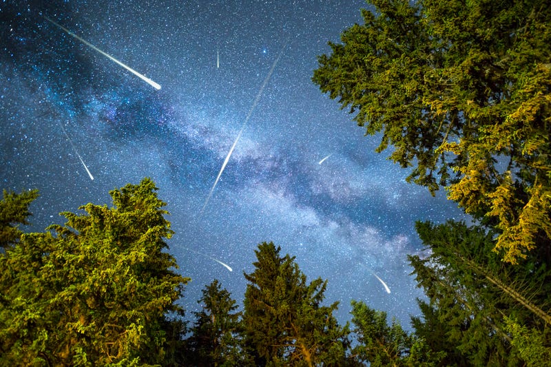 Meteor shower in the night sky. 