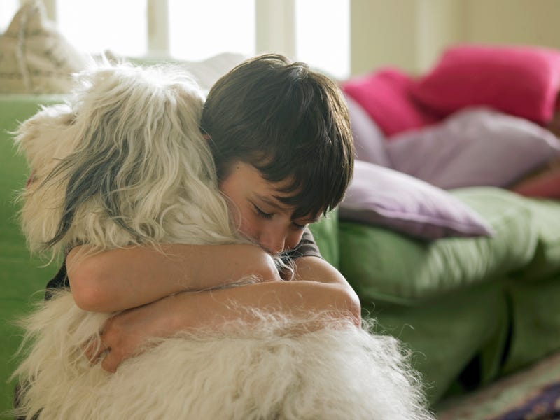 boy hugs dog