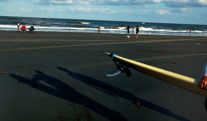 The beach in Tybee Island, Ga., in 2008. So far in 2021, five headless birds have been found on the beach. (Photo by Chris Hondros/Getty Images)