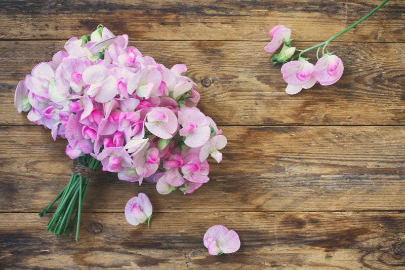 sweet pea flowers