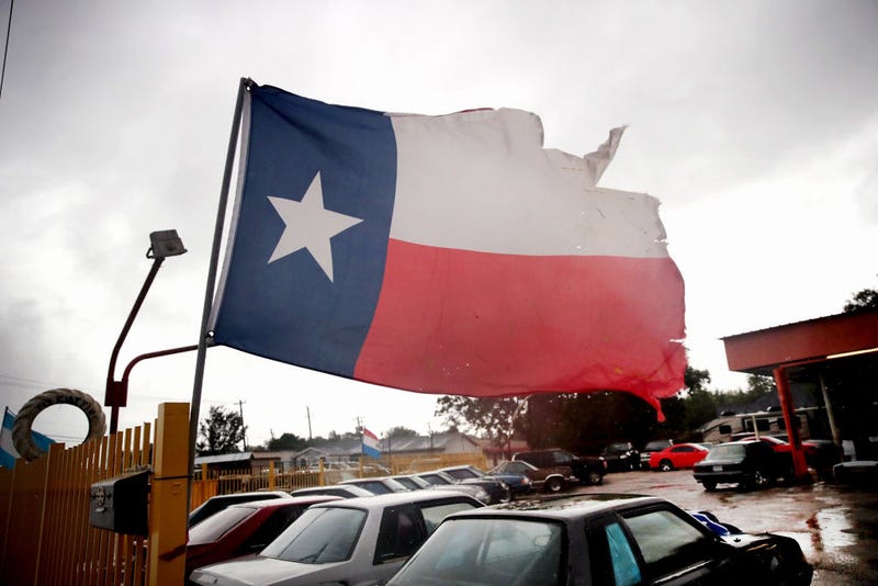 Texas State Flag