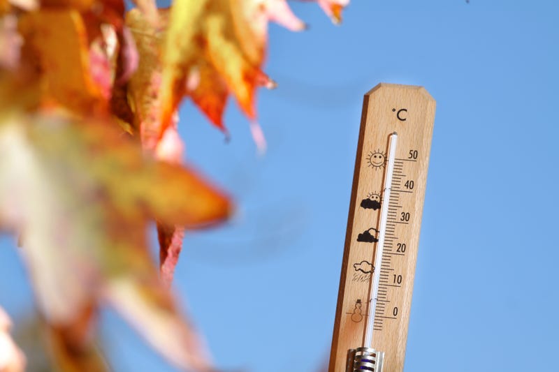 Thermometer and fall leaves