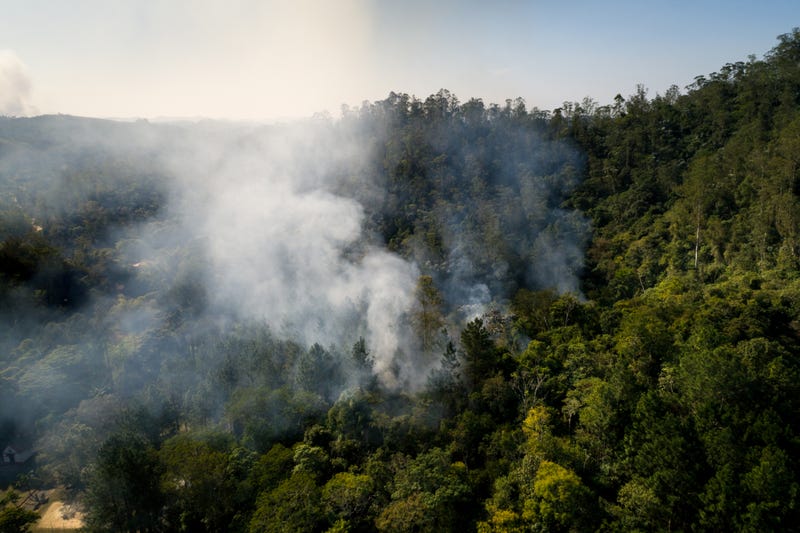 Wild fire