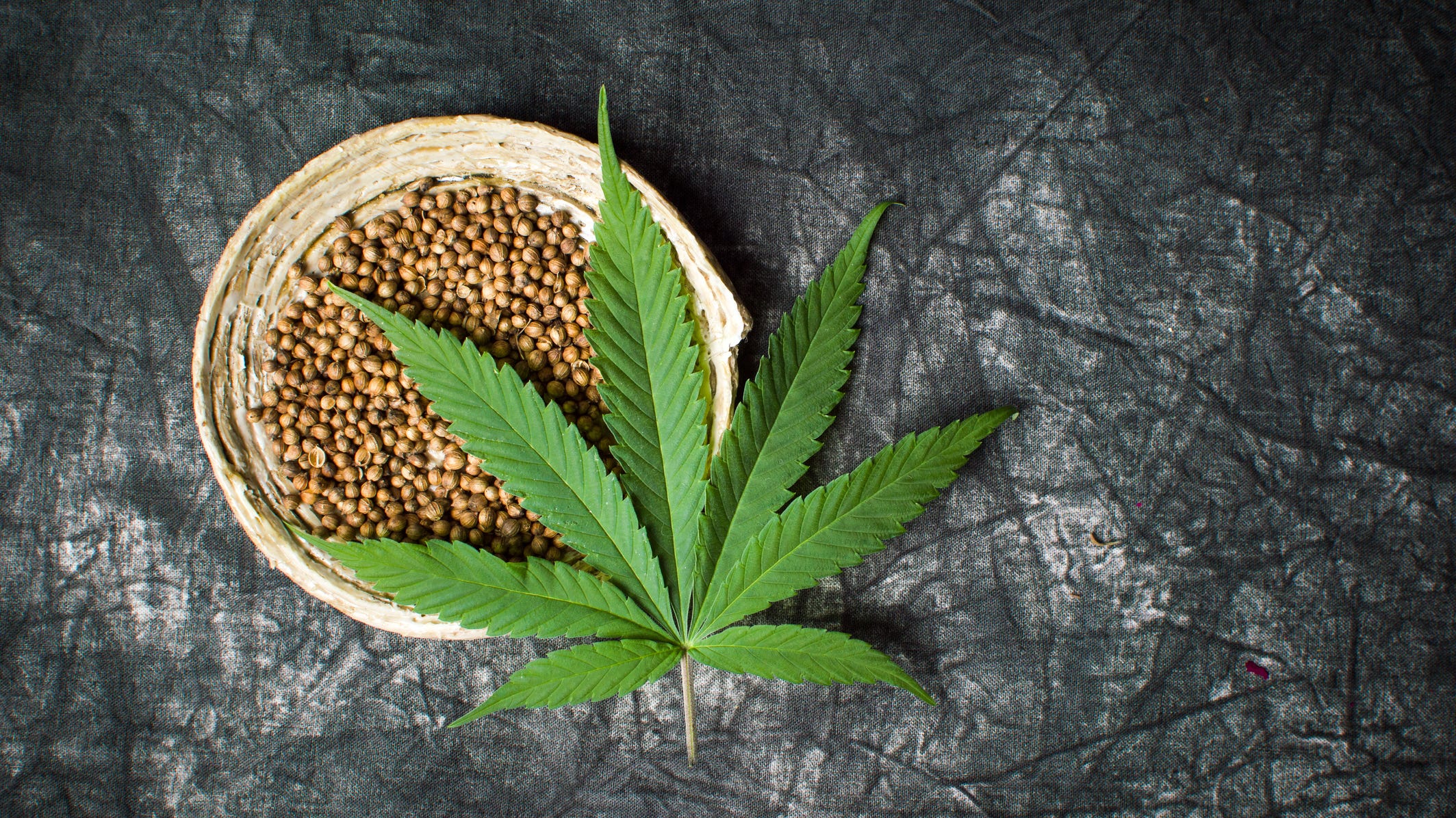 Minnesota Department of Agriculture clarifies how purchasing cannabis seeds will work