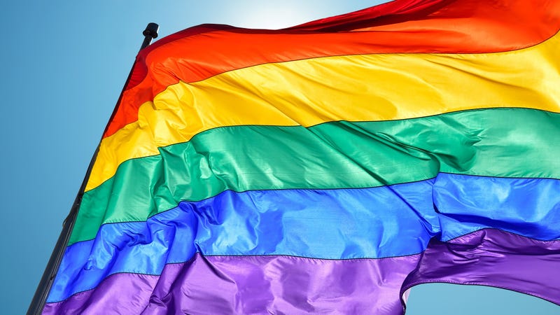 The gay pride flag.