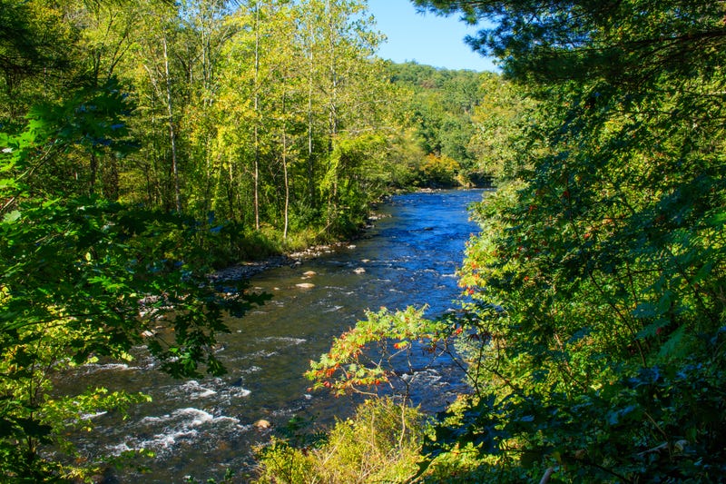 View of Farmington River